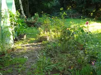 DSC03171.webp
