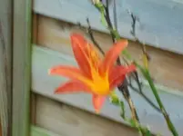 CIMG1478.webp