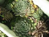 5_1024x768.webp