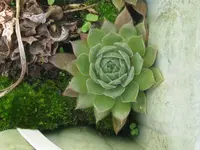 6_1024x768.webp