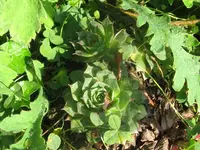 8_1024x768.webp