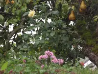 SAM_2152.webp