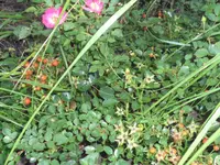 SAM_2145.webp