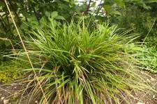 2013_0927Herbst0007.webp