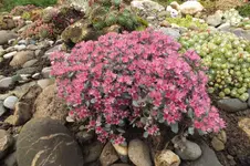 2013_0927Herbst0001.webp