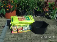BILD4109.webp