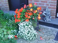 BILD4110.webp