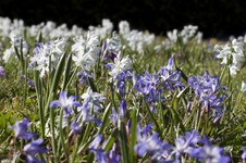 IMG_8914.webp