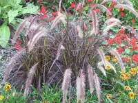 Bilda 0011.webp