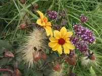 014.webp