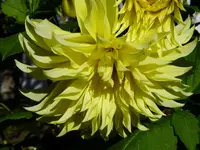 P1000781.webp