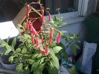 280920131435.webp