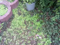 280920131439.webp