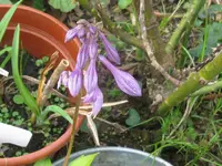010_1024x768.webp