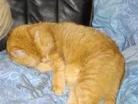 IMGP0445.webp