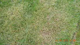 DSCN0881.webp