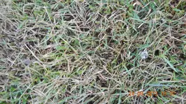 DSCN0884.webp