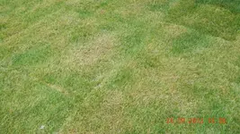 DSCN0887.webp