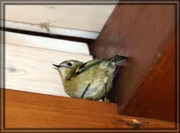 comp_DSC04430.webp