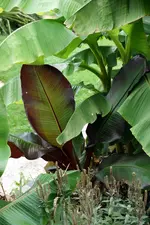 DSC04400.webp