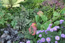 2013_0929Herbst0007.webp