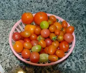 DSC_9199.2.webp