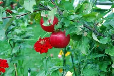 DSC_9117.2.webp