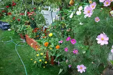 DSC_9115.2.webp