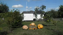 SAM_2535.webp