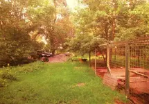 westseite garten.webp