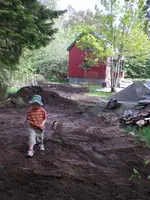 CIMG0570.webp
