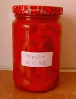 Winter 2008 1131.webp