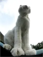 4zhkjzfdztrr.webp
