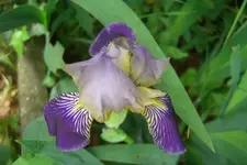 CIMG5224.webp