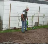 H walzt den Rasen2_klein.webp