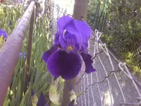 Fotos-0413.webp