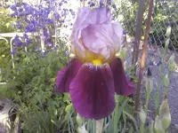 Fotos-0414.webp