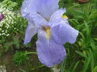 IMG_azurond2_1024x768.webp