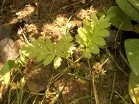 Bild_12.webp