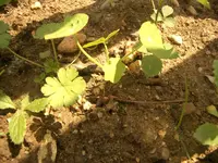 Bild_13.webp