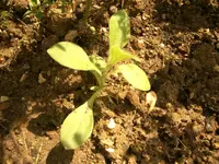 Bild_14.webp