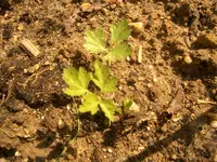 Bild_17.webp
