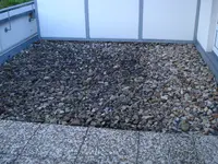 DSC00561.webp