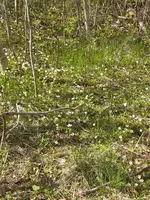CIMG6421.webp