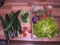 Garten 17.05.09 013.webp