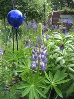 Garten09 002.webp