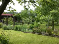 Mai6 026.webp