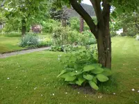 Mai6 031.webp