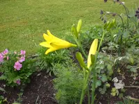 Mai6 028.webp