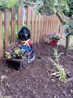 Mein Maulwurf mit Carneval im Vordergrund ist Mohn zu sehen.Alles im Schutz vom Apfelbaum.webp